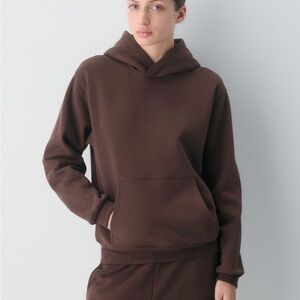 Aritzia Perfect Hoodie